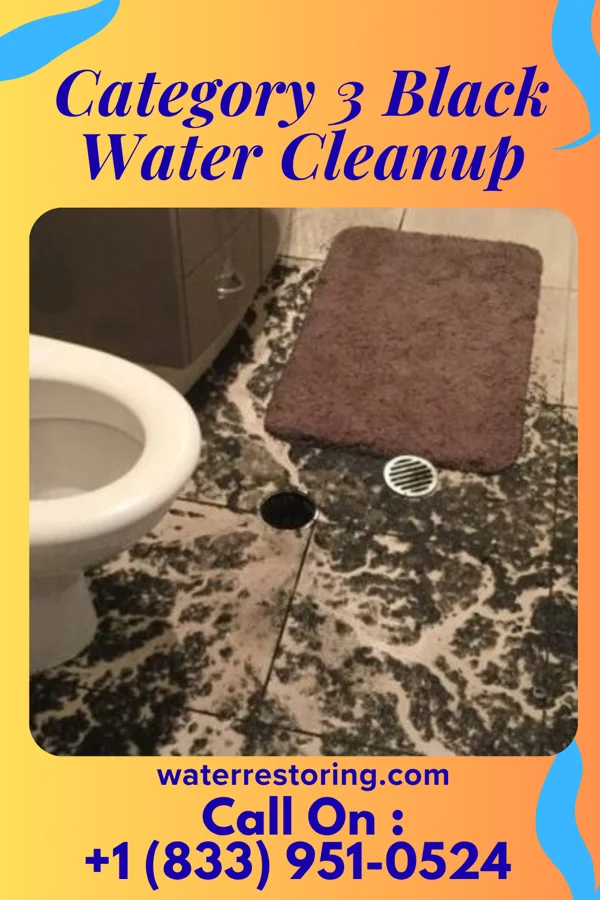 Category 3 Black Water Cleanup in Denison, IA