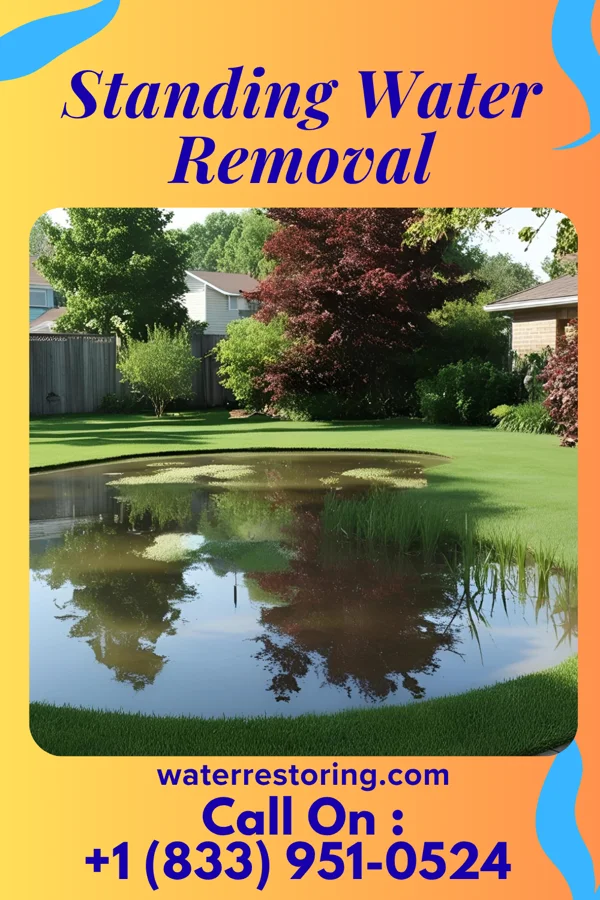 Standing Water Removal in Denison, IA